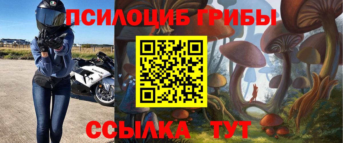 Галлюциногенные грибы мицелий Чапаевск