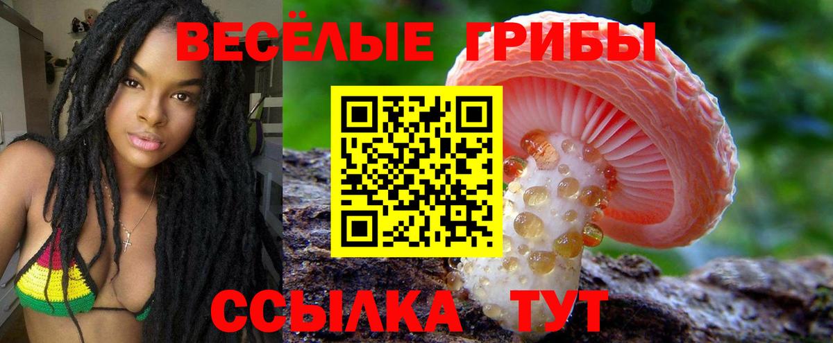 Псилоцибиновые грибы мицелий  Псилоцибиновые грибы мицелий  Чапаевск  Вход с VPN 